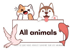 All animal